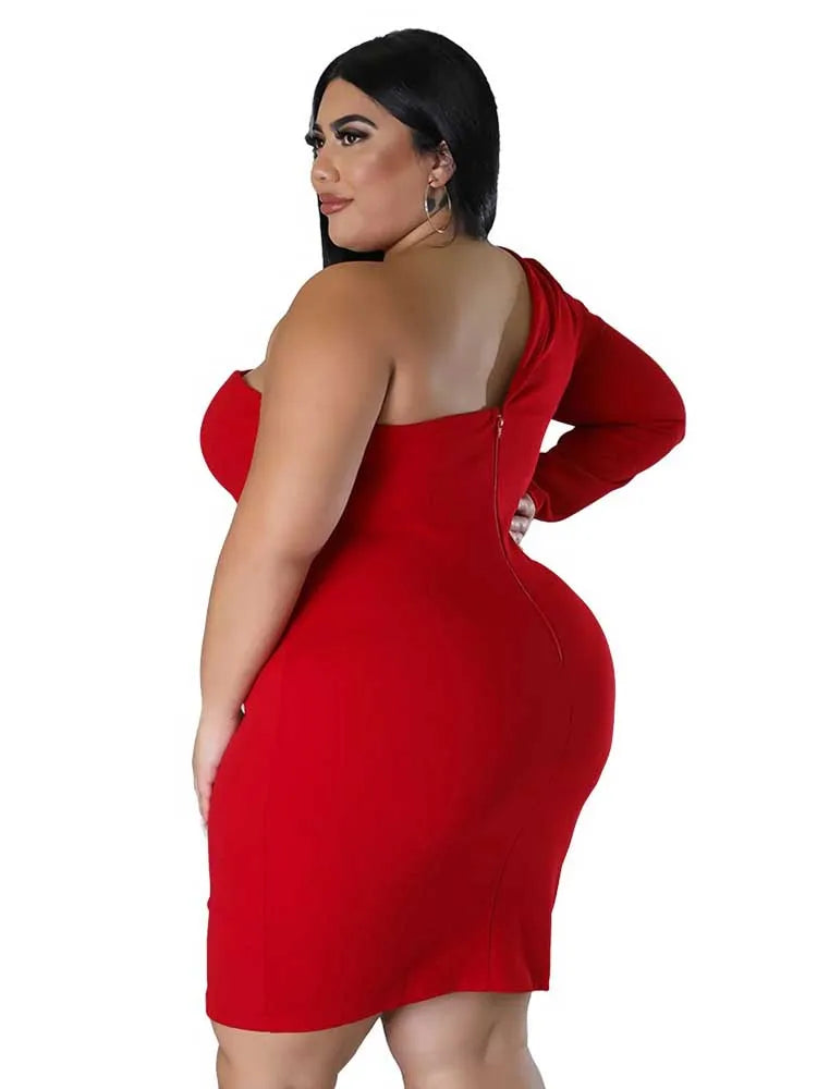 A1 Elegant Beauty Plus Size Special Occasion Dress