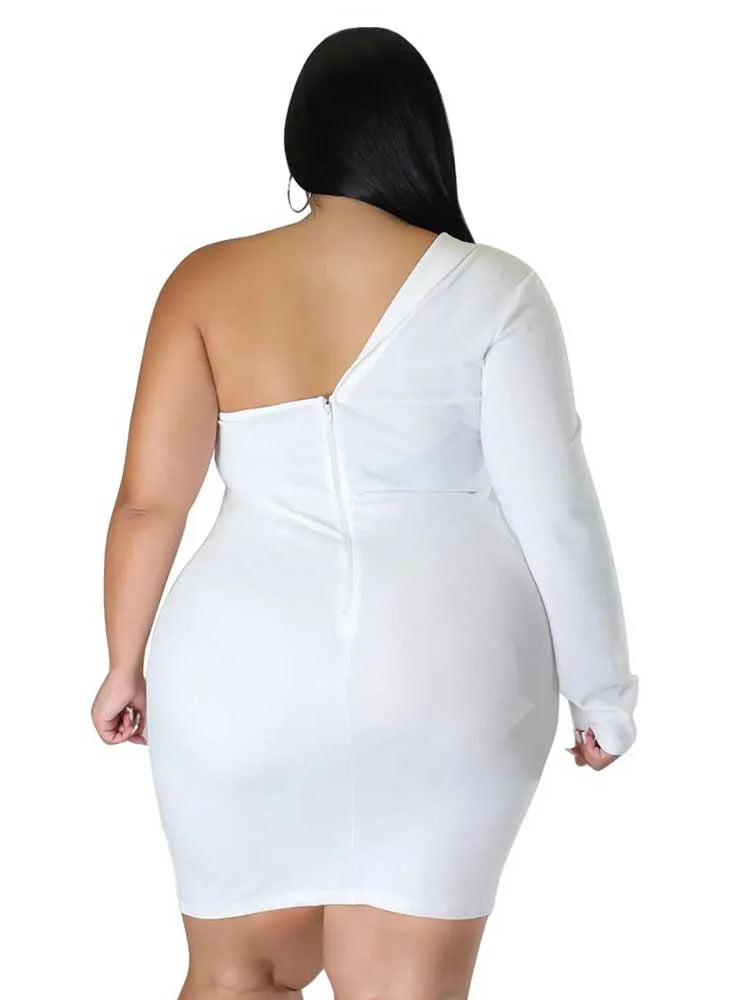 A1 Elegant Beauty Plus Size Special Occasion Dress
