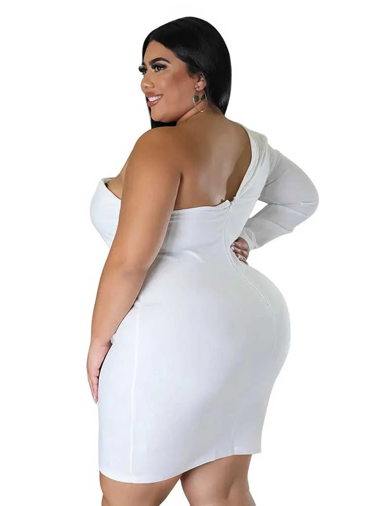 A1 Elegant Beauty Plus Size Special Occasion Dress
